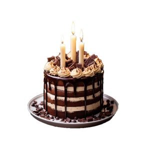 Dripping Chocolate Cake