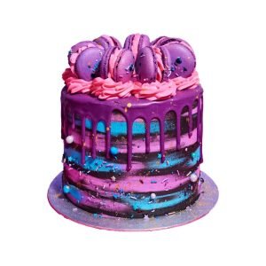 Classic Macron Cake - 1